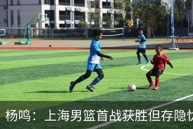 杨鸣：上海男篮首战获胜但存隐忧 王哲林在关键时刻难以替换