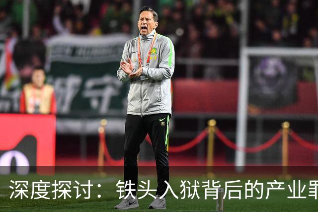 深度探讨：铁头入狱背后的产业罪恶与真实面目