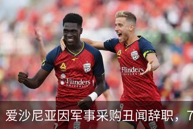 爱沙尼亚因军事采购丑闻辞职，7000万欧元何去何从？
